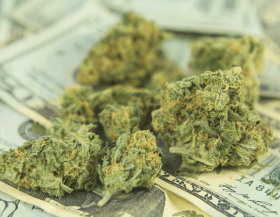 Marijuana Hedge Funds