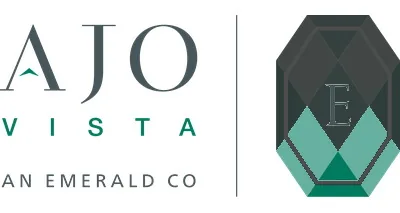 Ajovista, LLC logo