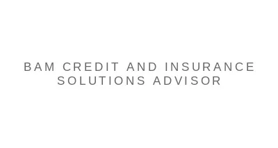 Bam Credit and Insurance Solutions Advisor LLC logo