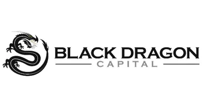 Black Dragon Capital Investment Management, LLC logo