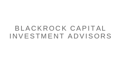 BlackRock Capital Investment Advisors, LLC logo