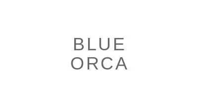 Blue Orca, LLC Blue Orca, LLC logo