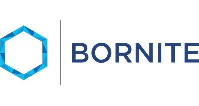Bornite Capital Management LP Bornite Capital Management LP logo