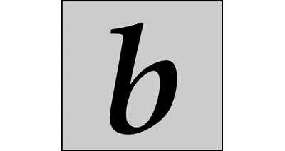 Braeside Investments, LLC logo