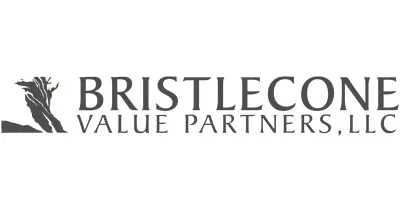 Bristlecone Value Partners, LLC Bristlecone Value Partners, LLC logo