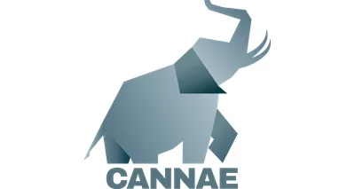 Cannae Portfolio Advisors, LLC logo