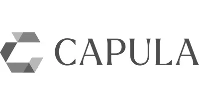 Capula Investment US LP Capula Investment US LP logo