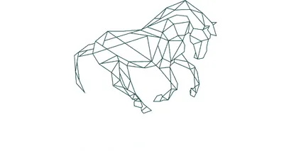 Gallant Capital Partners LLC Gallant Capital Partners LLC logo