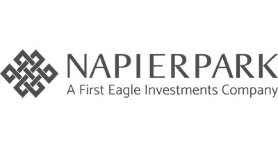 Napier Park Global Capital (US) LP Napier Park Global Capital (US) LP logo