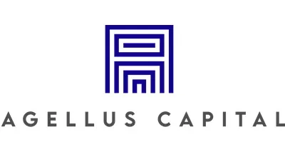 Palm Peak Capital, LLC Palm Peak Capital, LLC logo