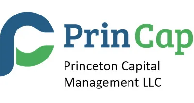 Princeton Capital Management LLC Princeton Capital Management LLC logo