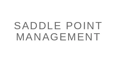Saddle Point Management, L.P. Saddle Point Management, L.P. logo