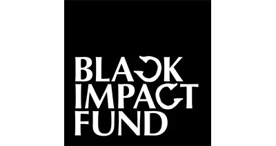 Sola Impact Group, LLC logo