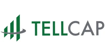 Telligent Investment Management, LLC logo