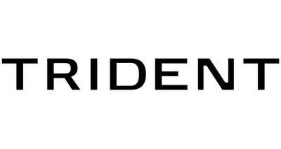 Trident Management LLC logo