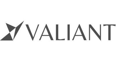 Valiant Capital Management, L.P. Valiant Capital Management, L.P. logo