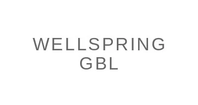 Wellspring Gbl, LLC Wellspring Gbl, LLC logo